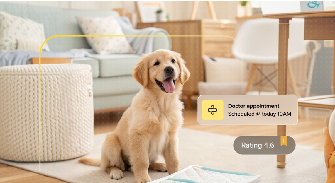 Pet care appointment preview